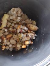 Sabudana Khichdi