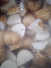 Potato