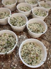 Lemon Corriander Rice