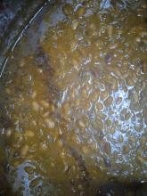 Rajma