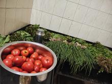 Tomato + spring onion